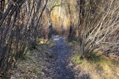 Galena Creek Trail