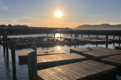Pier 39 San Francisco